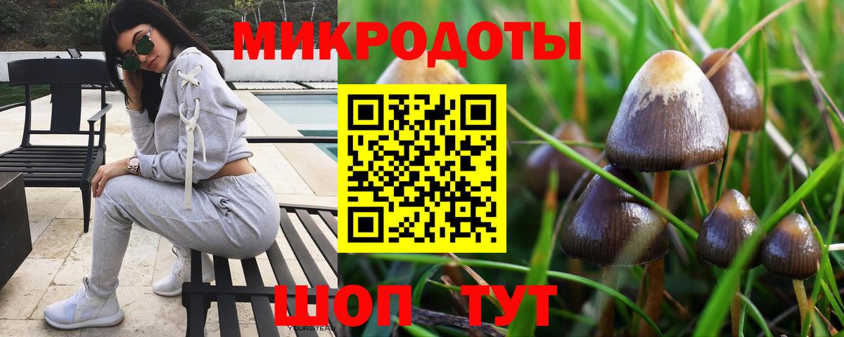 Псилоцибиновые грибы Psilocybe  Топки 
