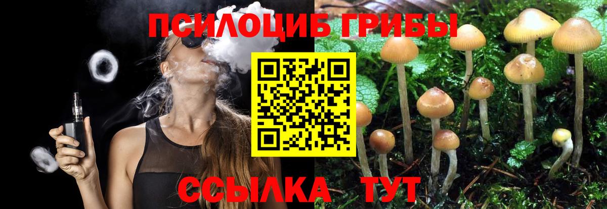 Псилоцибиновые грибы Psilocybe  Псилоцибиновые грибы ЛСД  Топки  Вход с VPN 